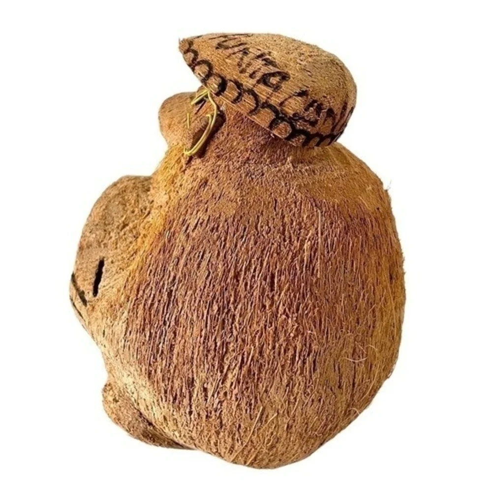 Monkey in Love Punta Cana Coconut Souvenir 6.5